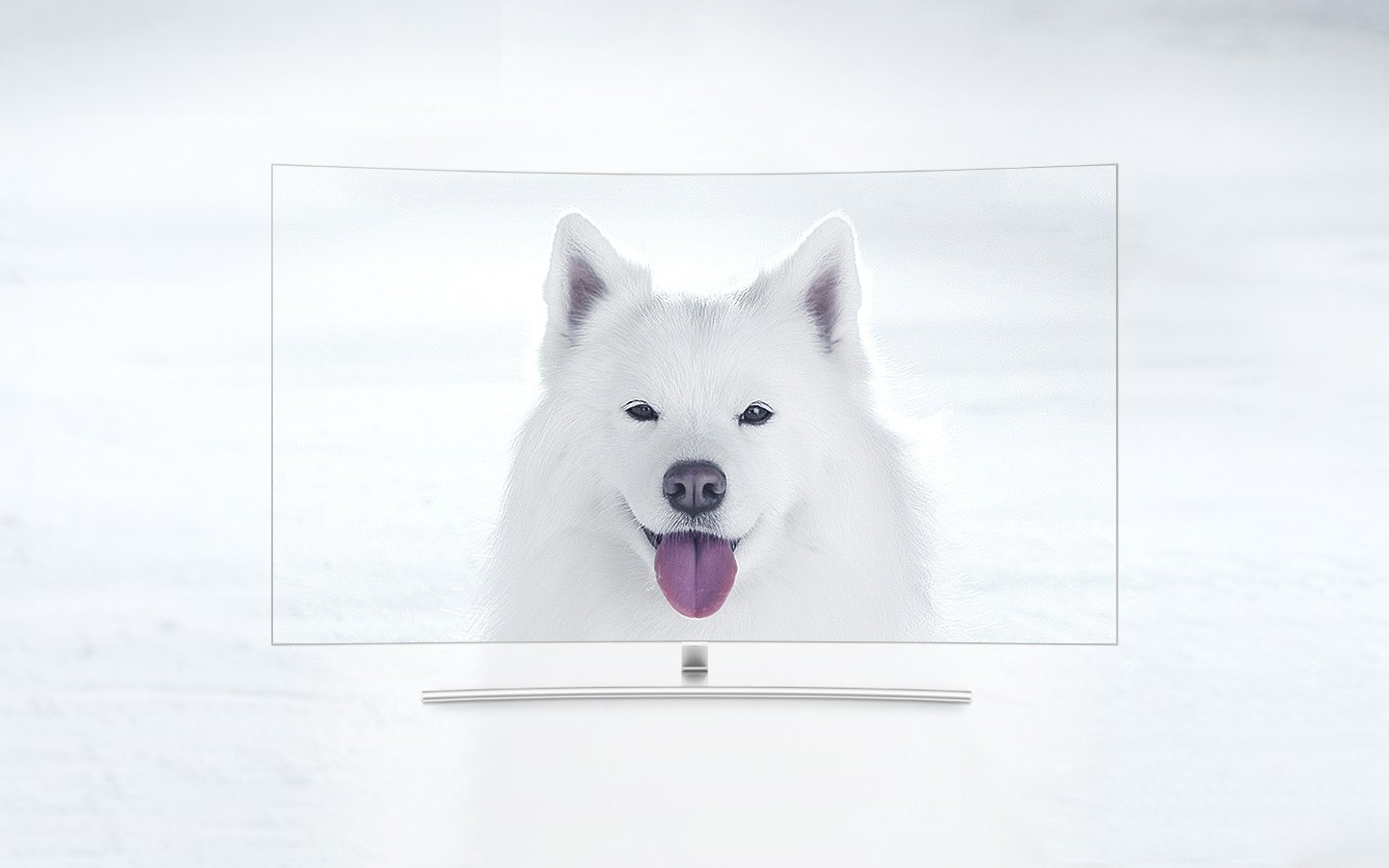 QLED TV Curved has placed directly with front face and on its screen shows an white puppy in a snowfield. The closer we go to 1500 nits, the more clearly we can see the puppy’s hair which couldn’t be distinguished from the snow at first.