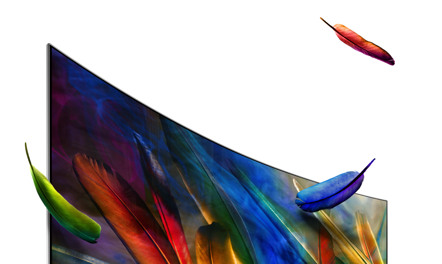 Curved QLED TV has been placed obliquely in the left, and feathers of various colors are falling from top to bottom on the right. On the screen, a various colored feathers are shown.